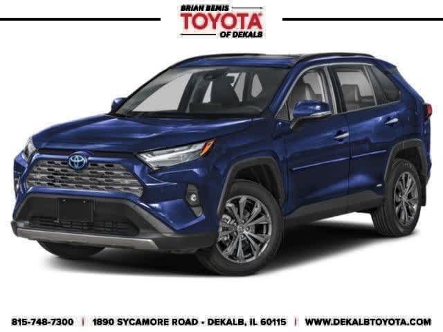 2025 Toyota RAV4 Limited's photo