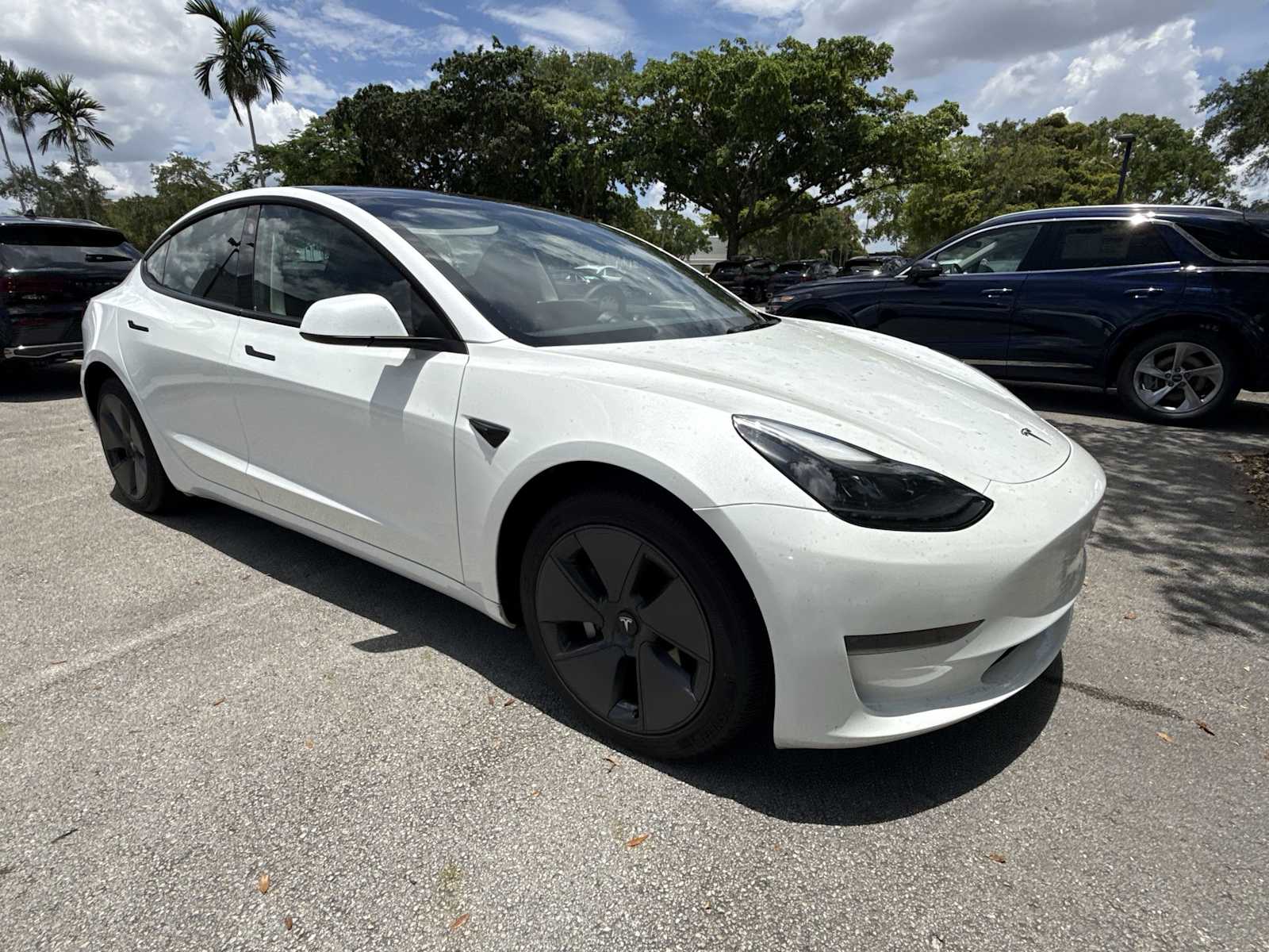 Used 2023 Tesla Model 3 Base with VIN 5YJ3E1EA9PF511398 for sale in Doral, FL