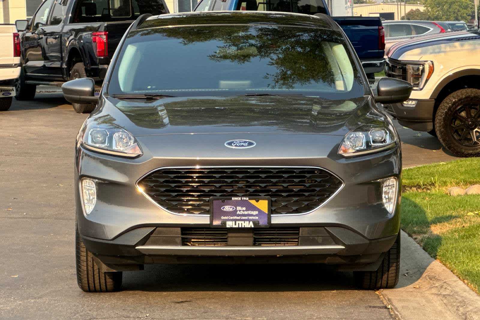 used 2022 Ford Escape car, priced at $22,995