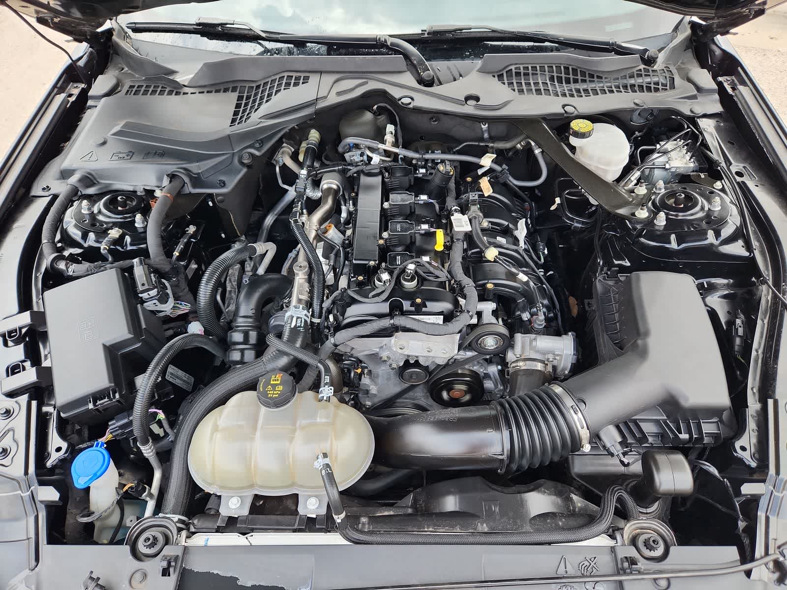 used 2023 Ford Mustang car, priced at $28,999