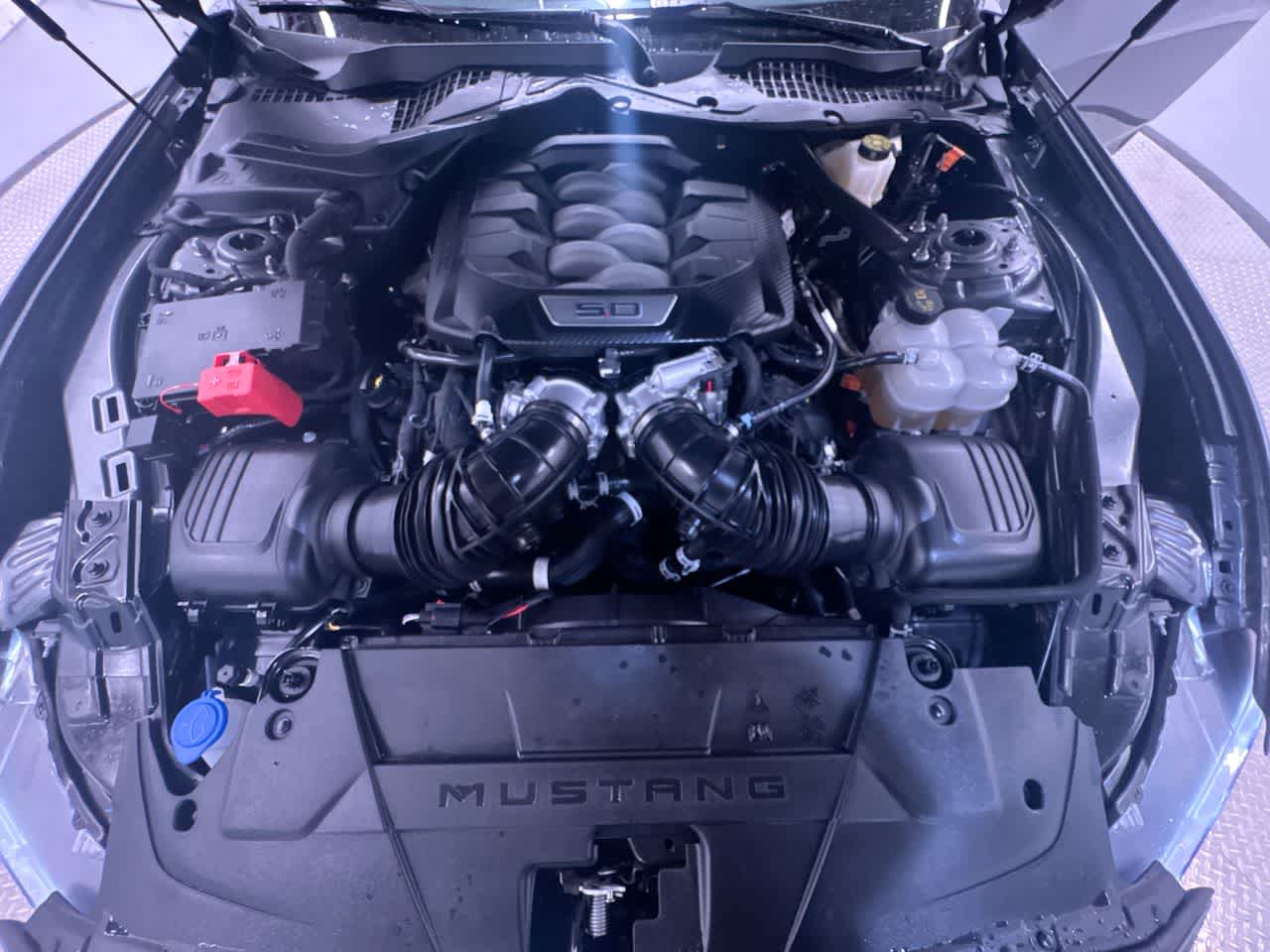 used 2025 Ford Mustang car, priced at $48,123