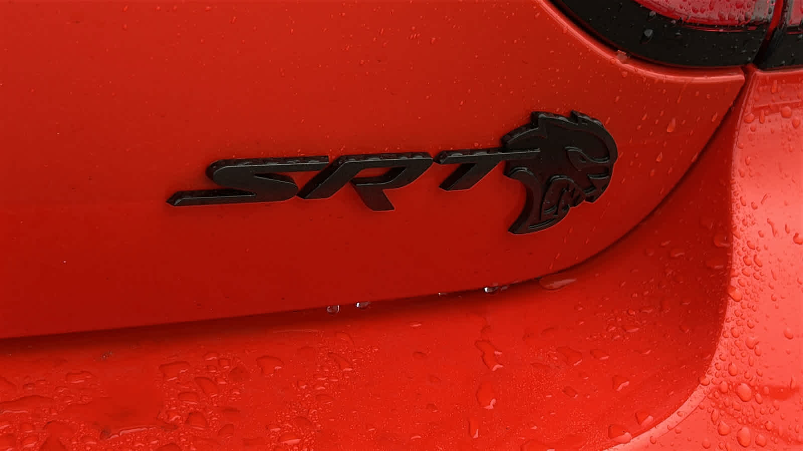 used 2023 Dodge Charger car, priced at $99,888