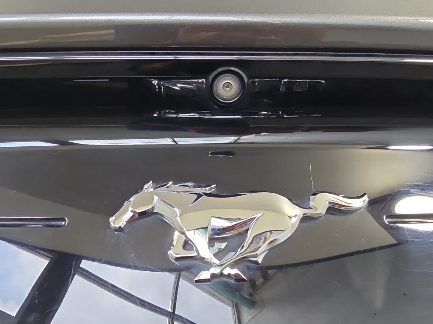 used 2019 Ford Mustang car, priced at $21,900
