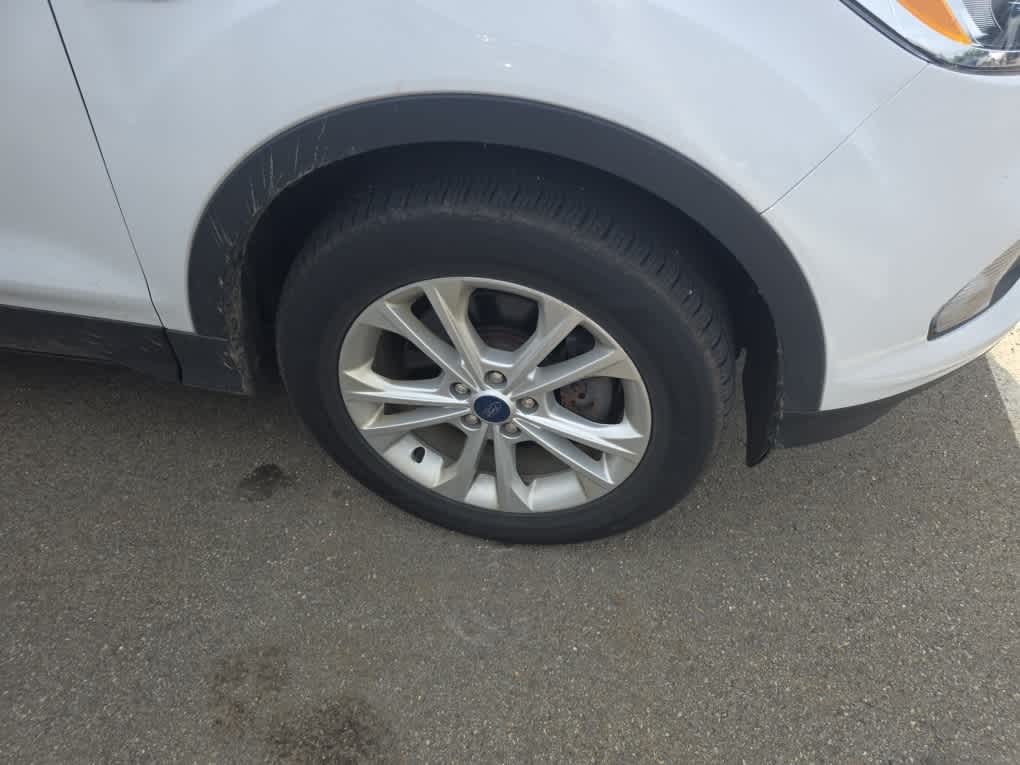 used 2019 Ford Escape car, priced at $17,500